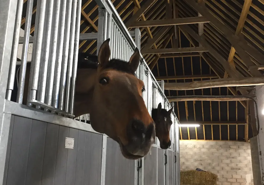header-gite-equestre-1
